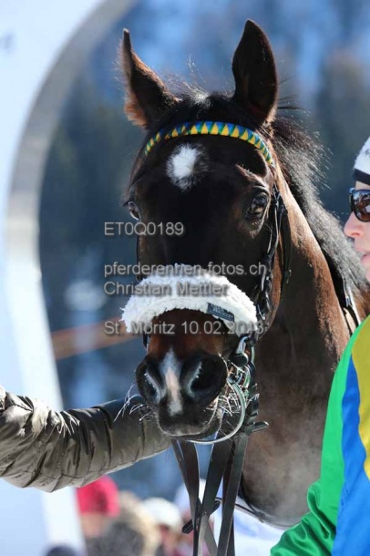 ET0Q0189 prot